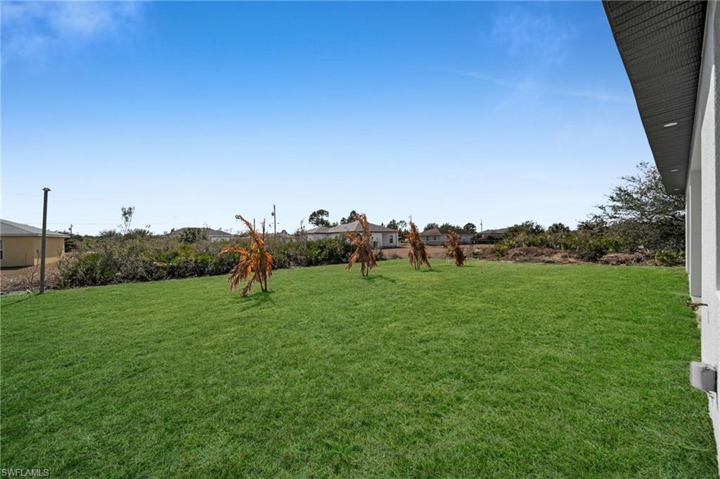 View of green lawn