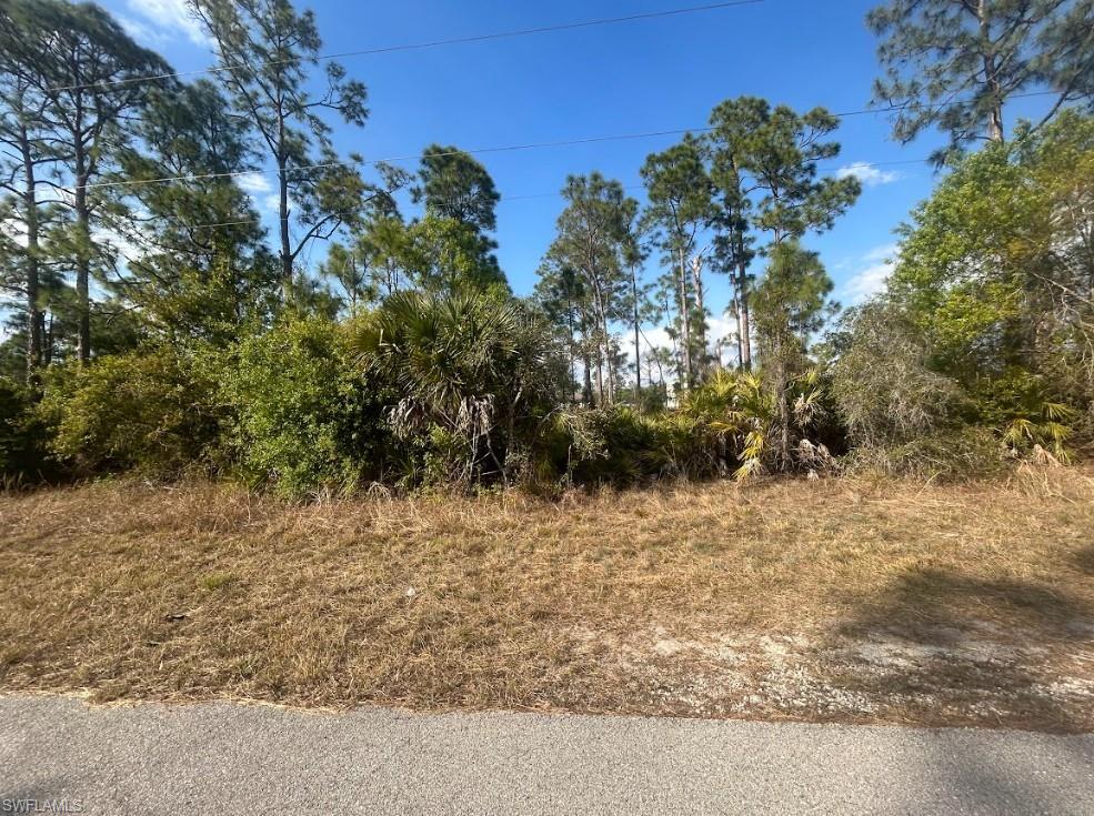 View of undeveloped land
