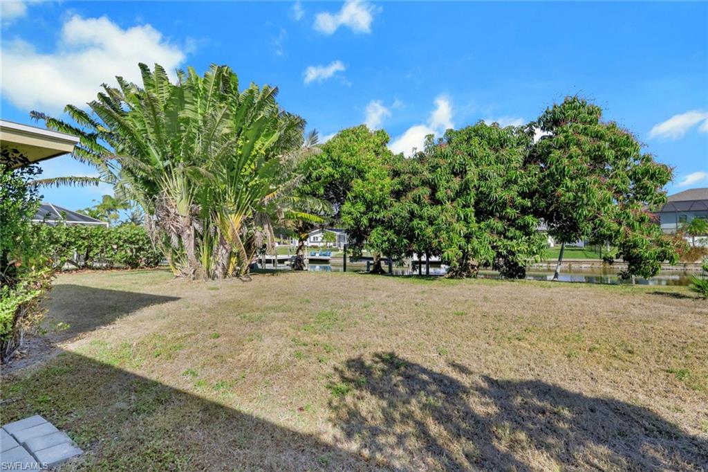 View of green lawn