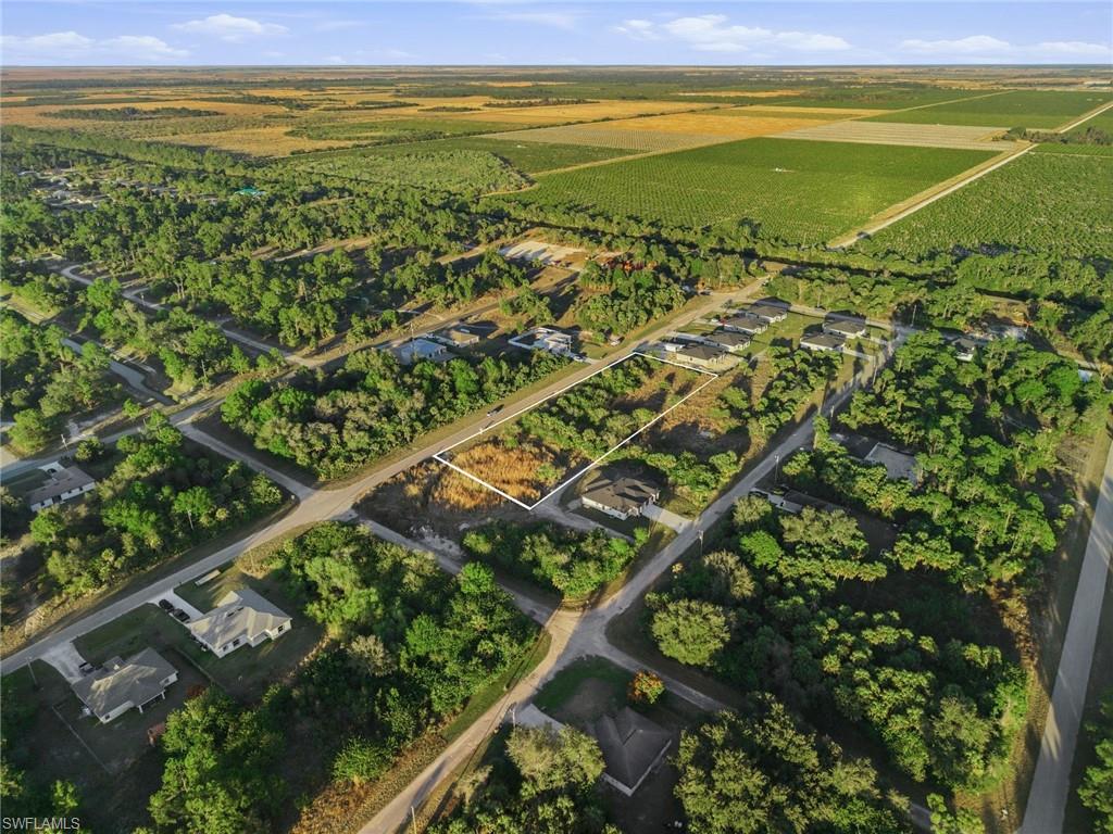 Overview of rural landscape featuring rows of crops