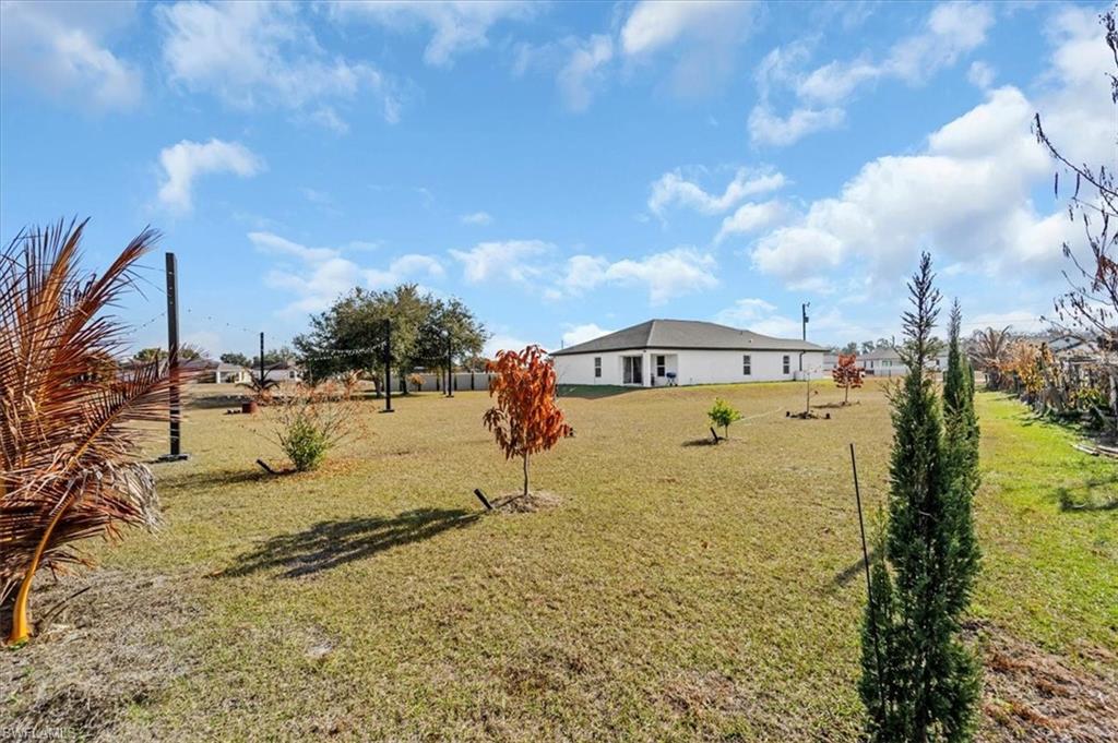 View of grassy yard