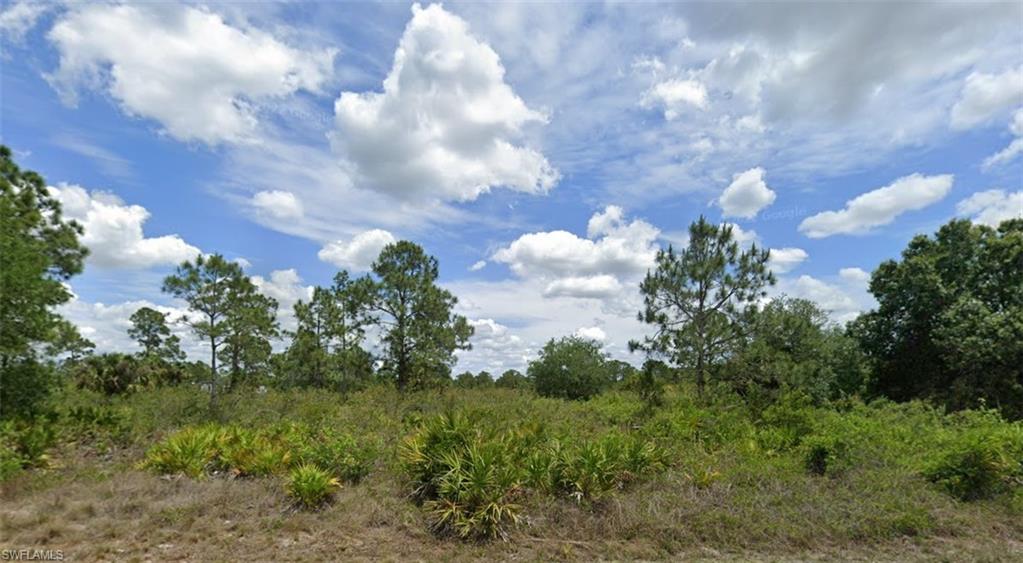 View of local wilderness