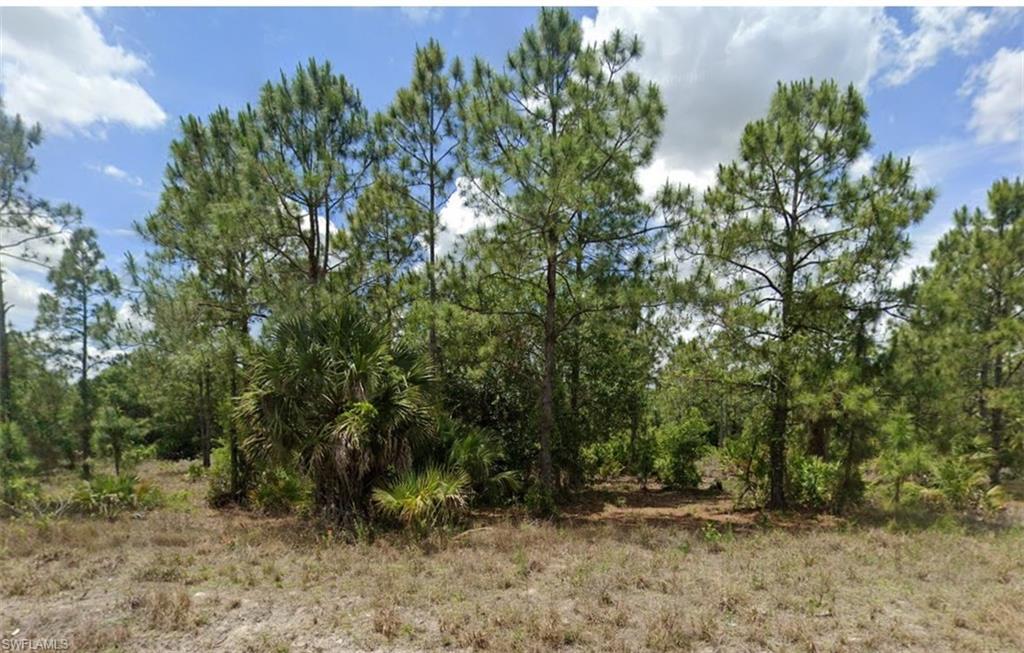 View of undeveloped land