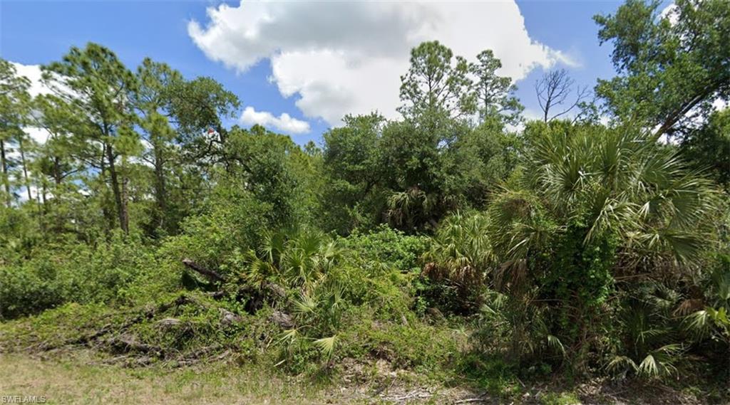 View of woods