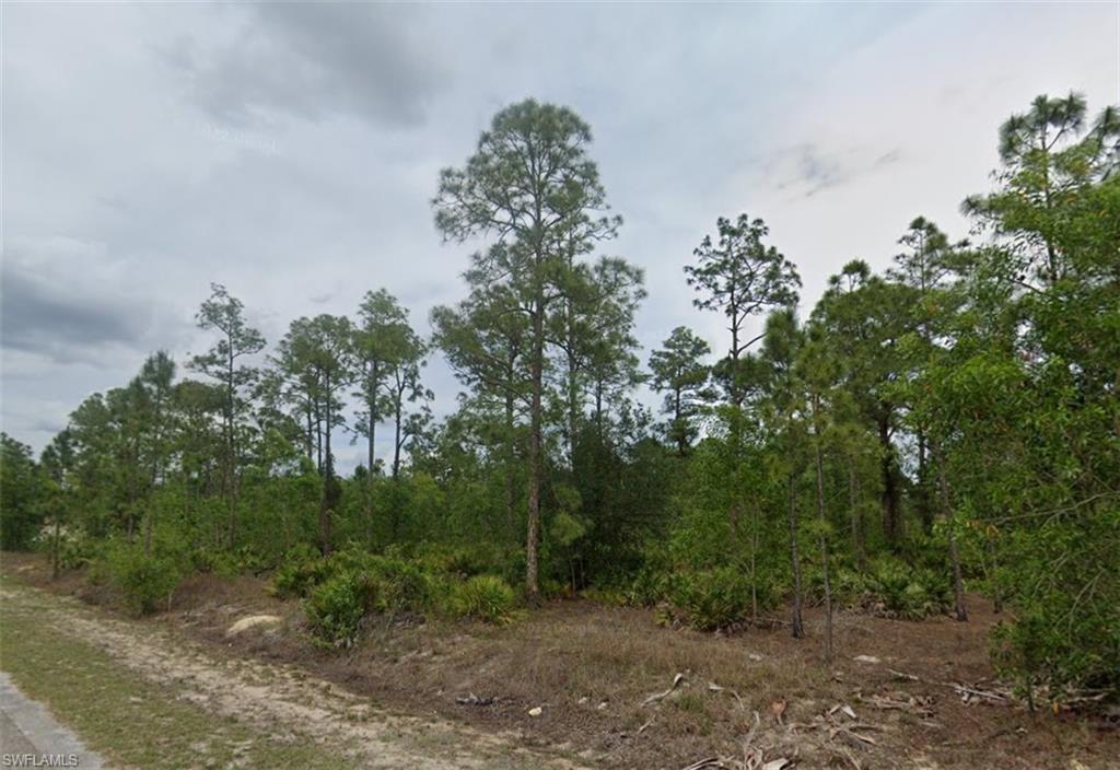 View of undeveloped land