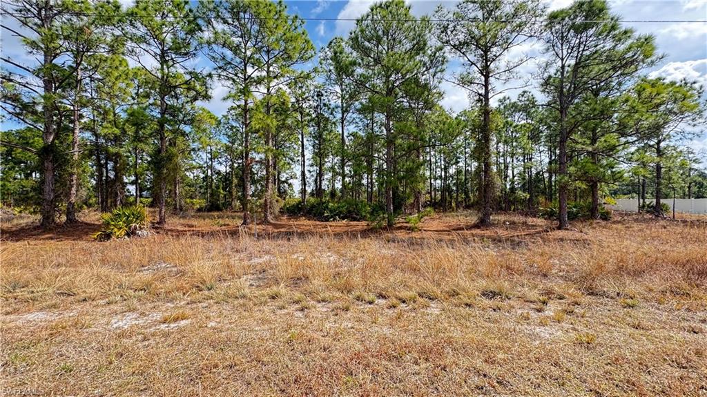 View of undeveloped land