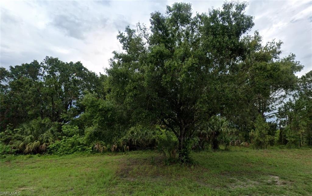 View of nature