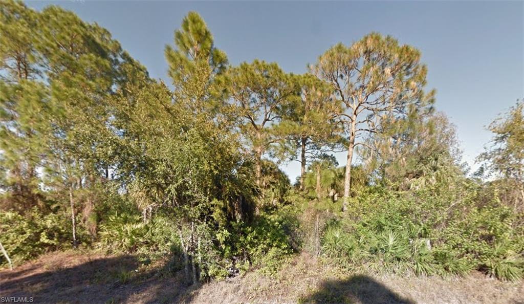 View of wooded area