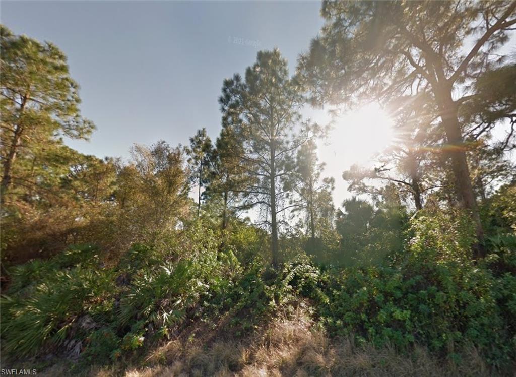 View of nature