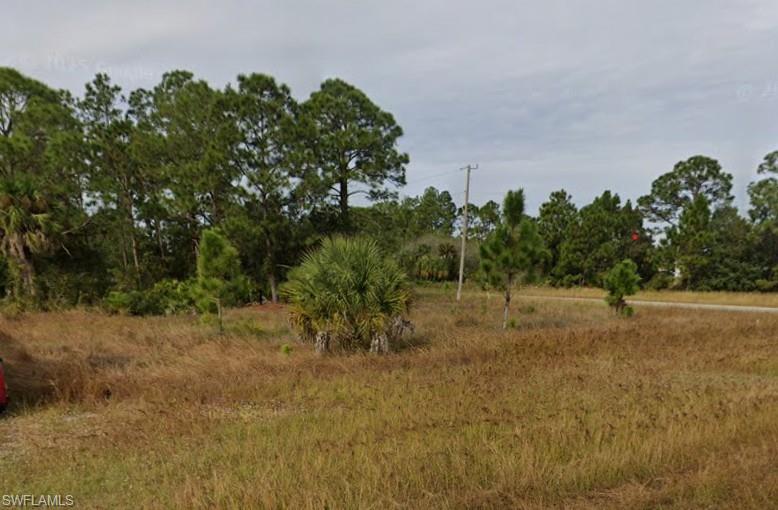 View of undeveloped land