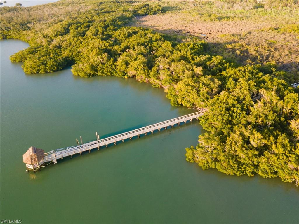 From the walking trail, access the Bay Forest boardwalk, which extends through the preserve to the back bay behind Barefoot Beach