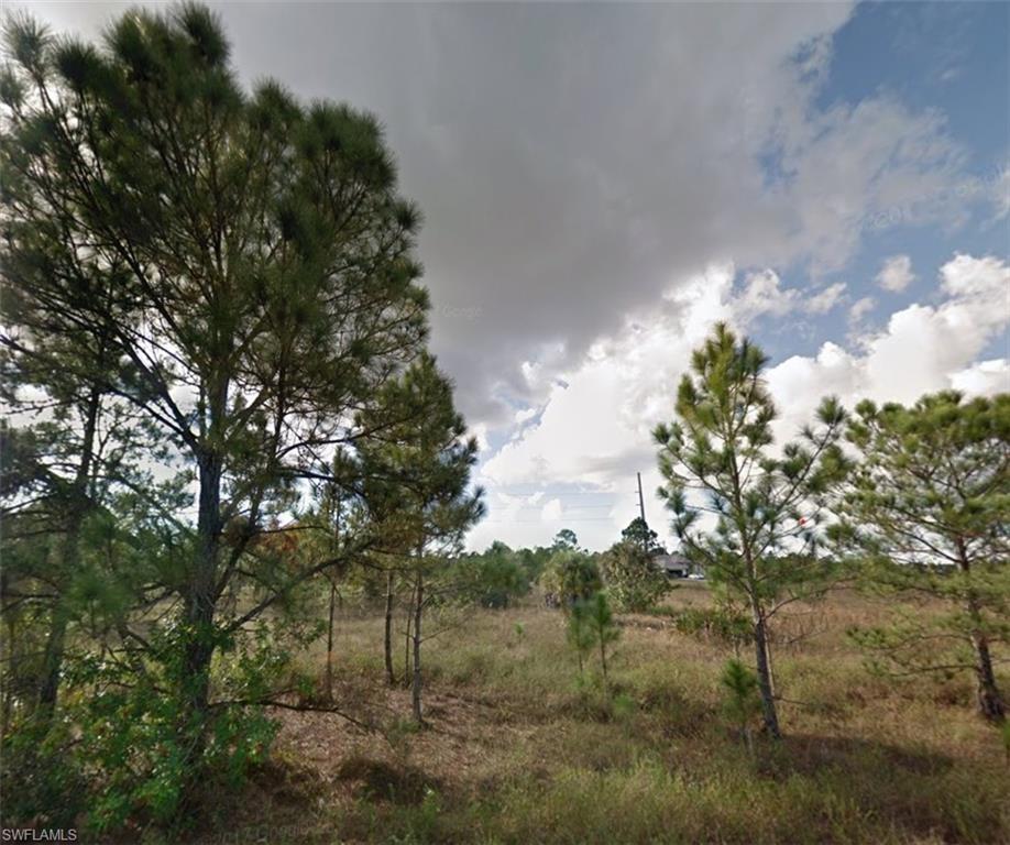 View of undeveloped land