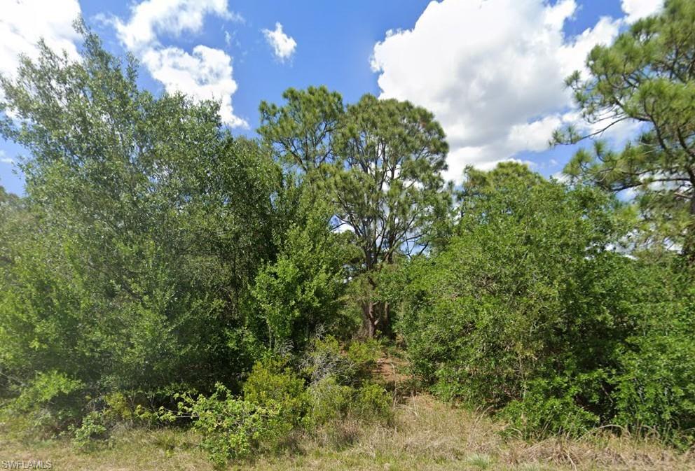 View of undeveloped land