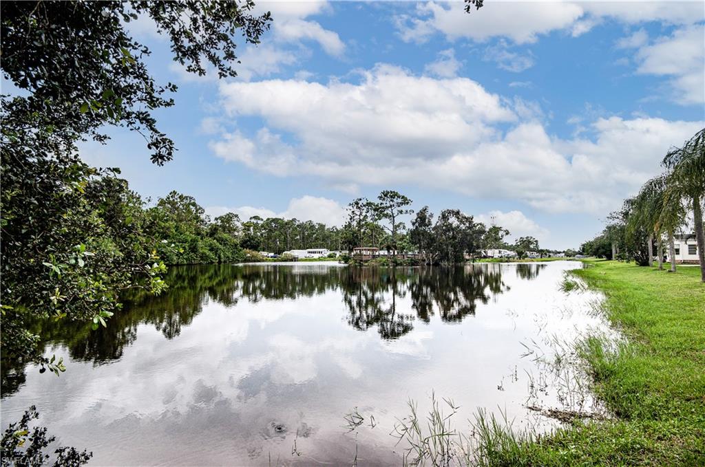 Water view