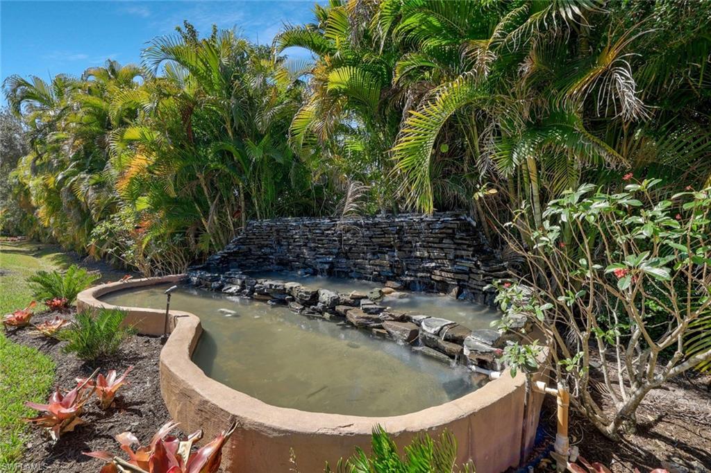 WATER FEATURE