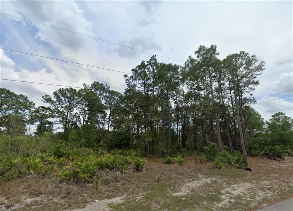 View of undeveloped land
