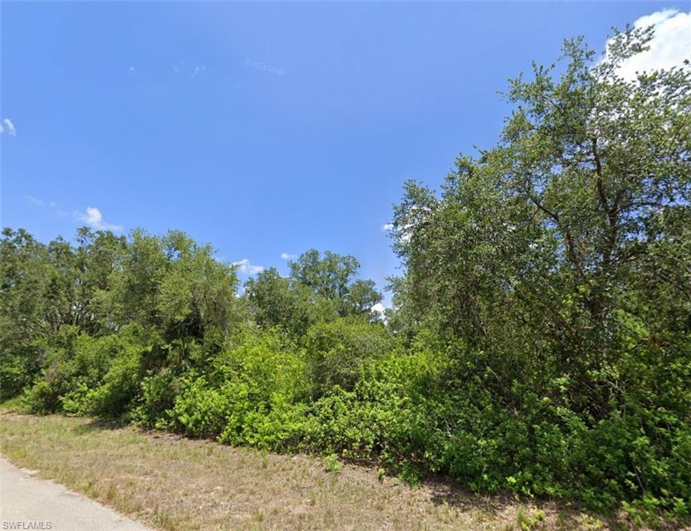 View of nature
