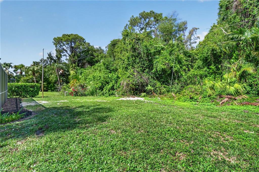 22656 Fountain Lakes BLVD photo 49