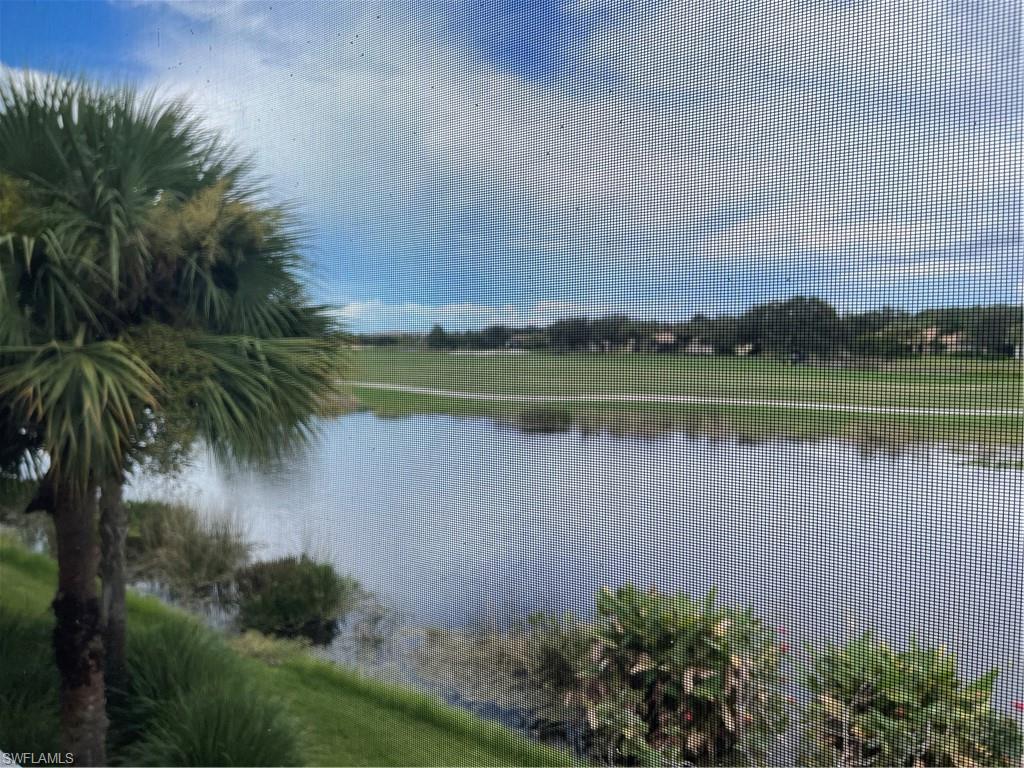 Water view