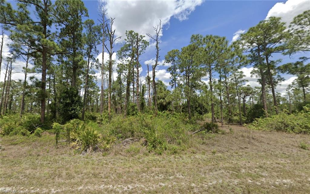 View of undeveloped land