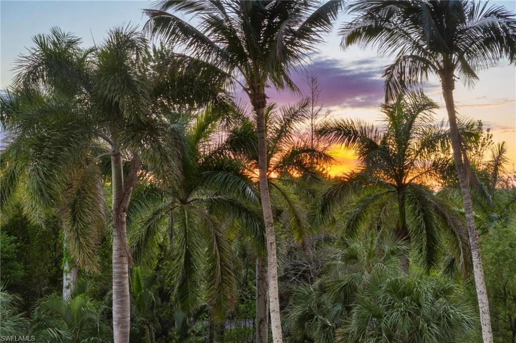 Golden sunset skies that melt into stunning evening views