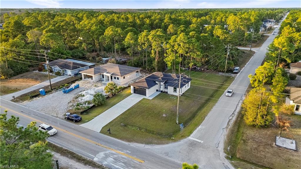 Bird's eye view of a forest