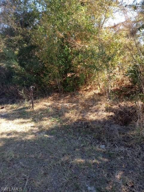 View of wooded area