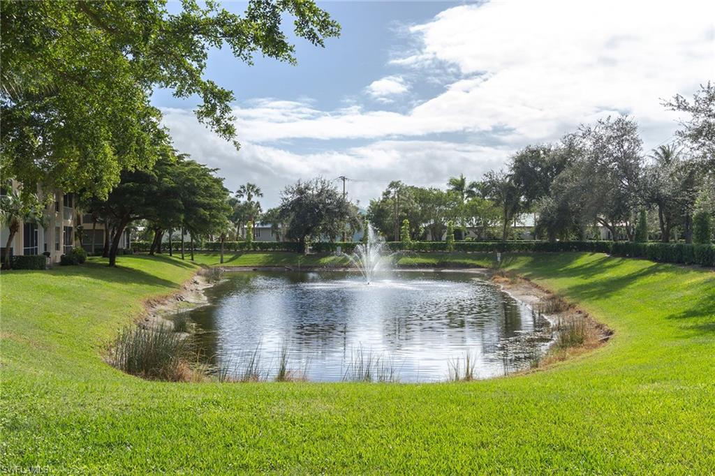 Pond / Fountain
