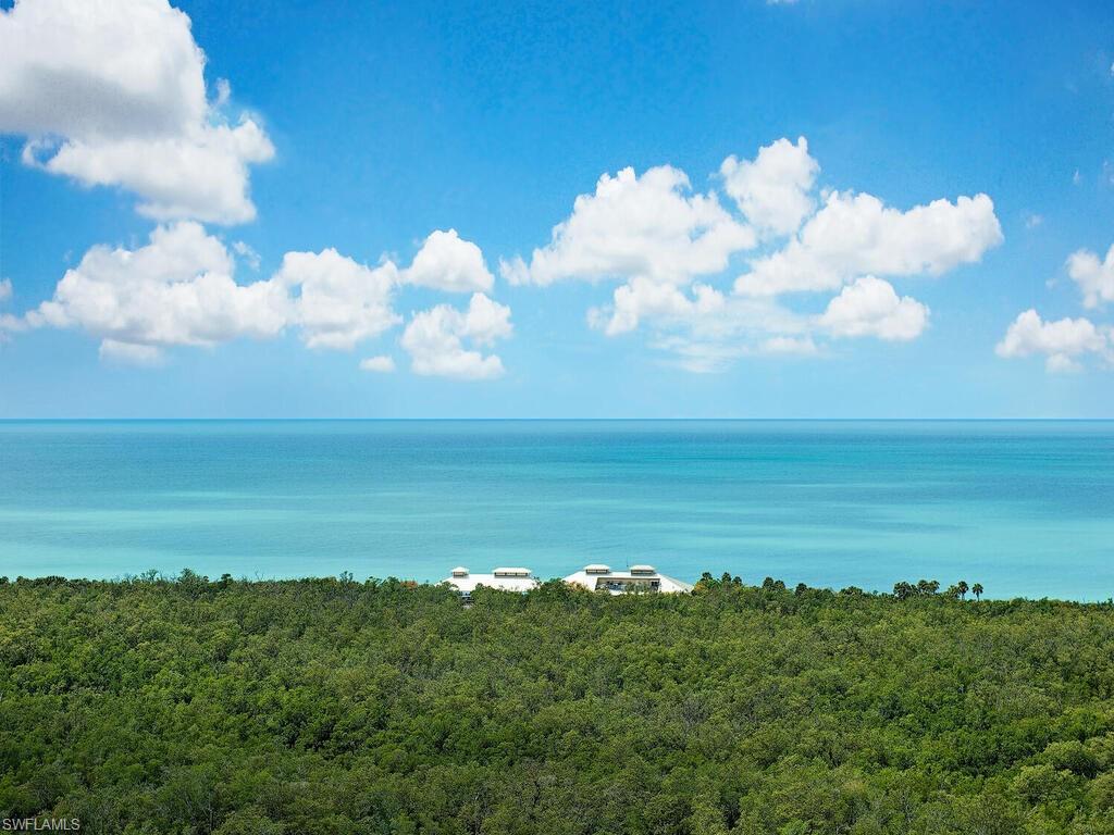 SOARING GULF VIEWS