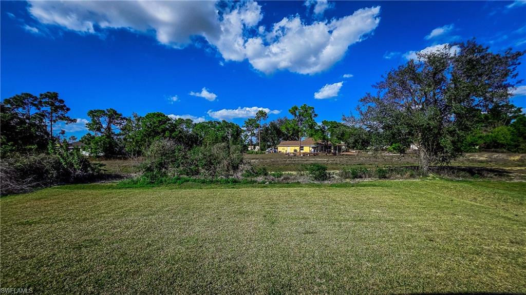 View of green lawn featuring view of wooded area