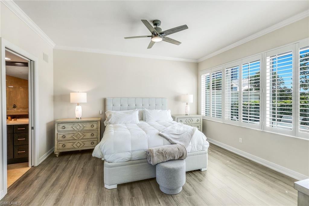 265 Indies WAY T02 photo 16