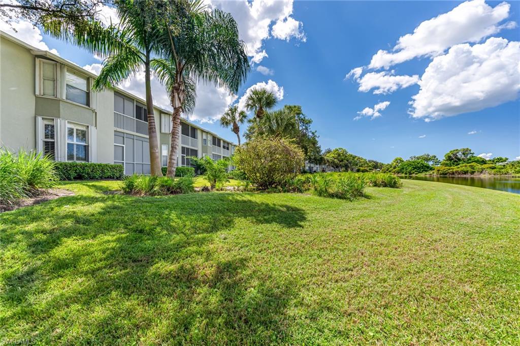 Rear Yard