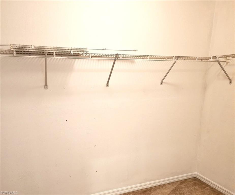 Walk in closet with carpet flooring