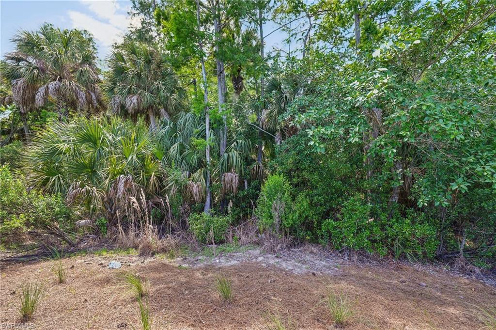 10395 Ventana LN photo 41
