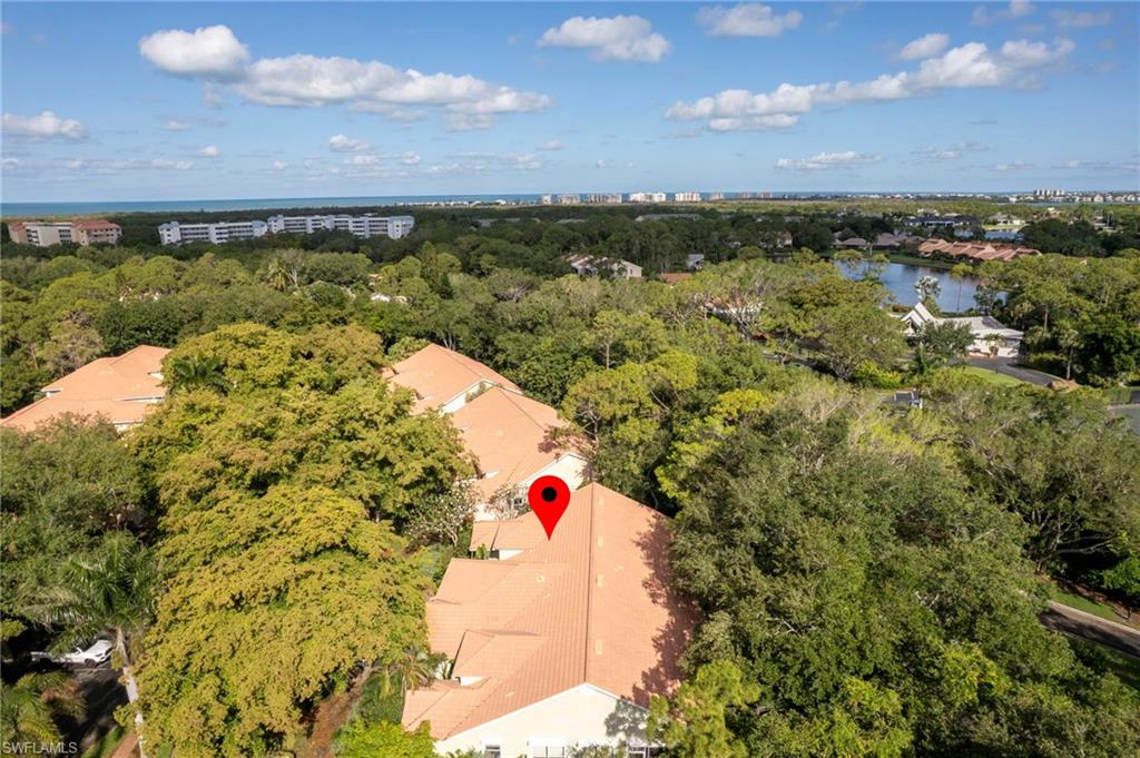 It's called Bay *Forest* for a reason! Lush trees and close to the Gulf!