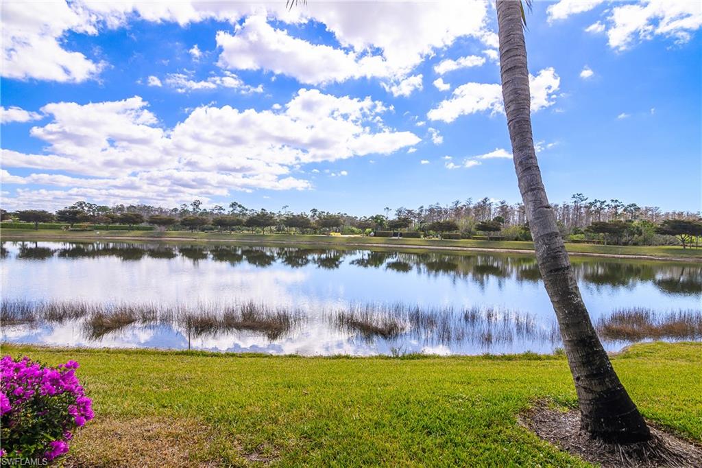 Backyard View