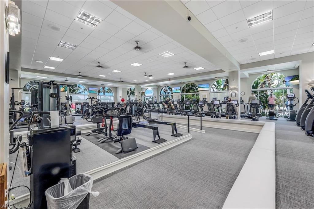 Gym with a drop ceiling, carpet flooring, and healthy amount of natural light