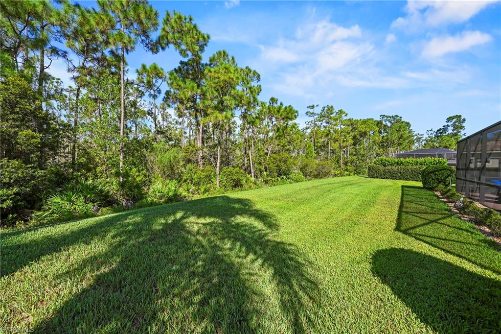 21082 Bosco CT photo 33