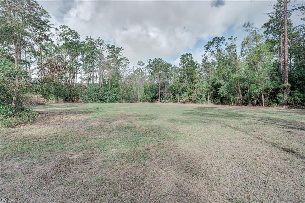 View of grassy yard