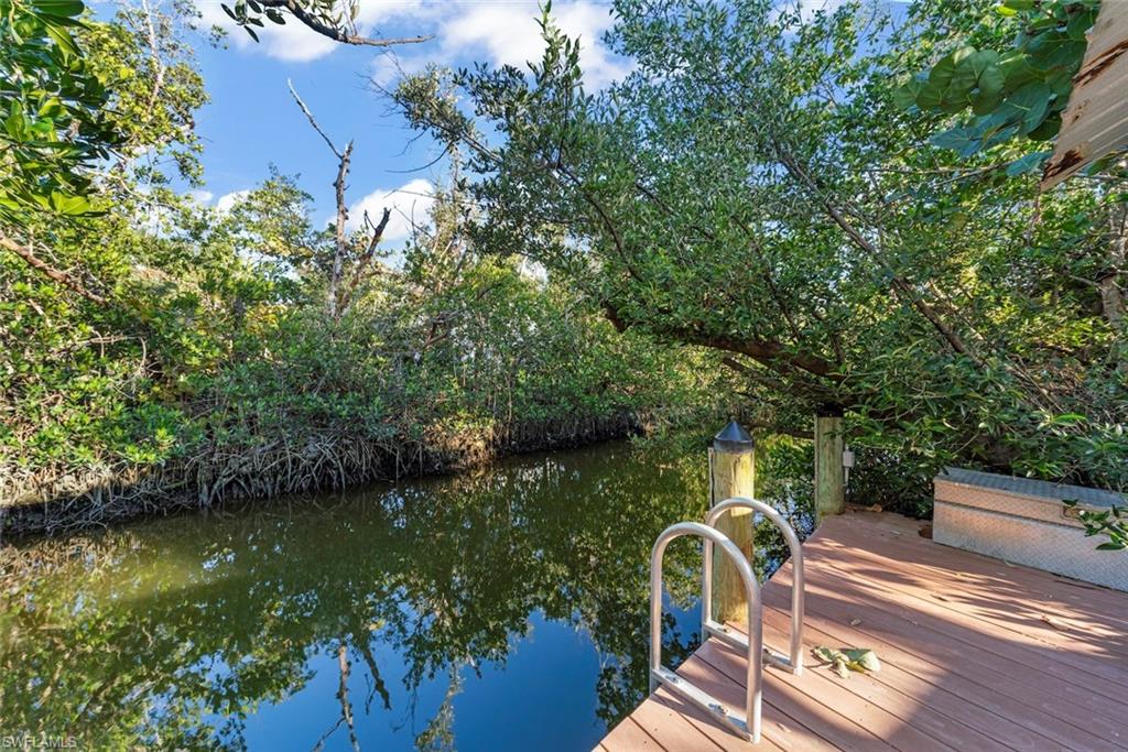 Mangrove dock