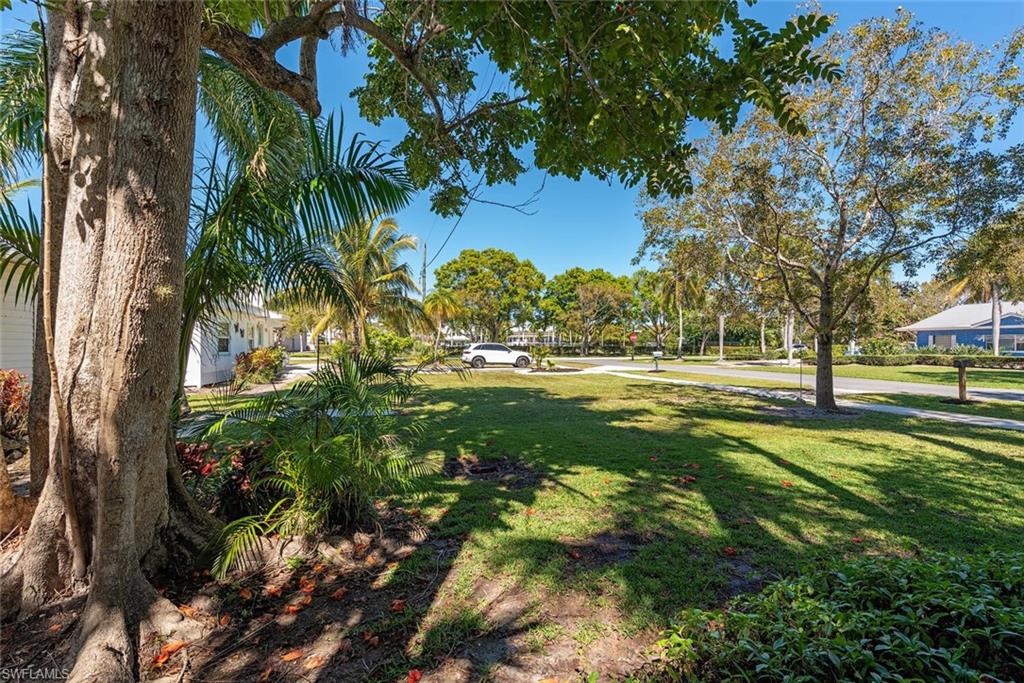Big Yard - Nice Views - Green Space