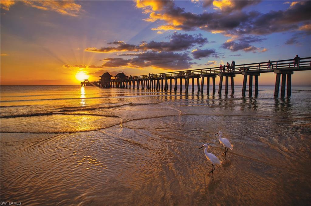 New Pier - July 2027