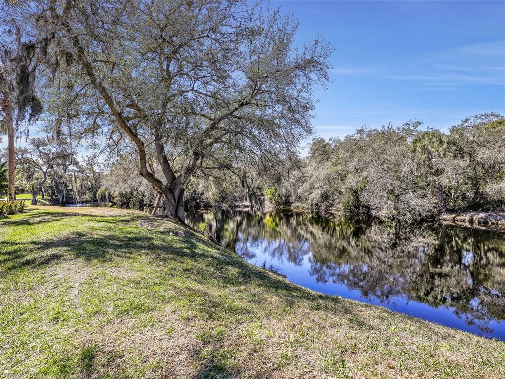 25220 Pelican Creek CIR 102 photo 16