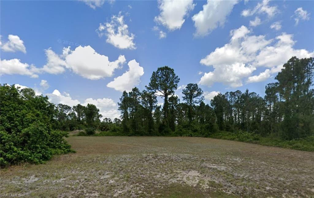 View of nature