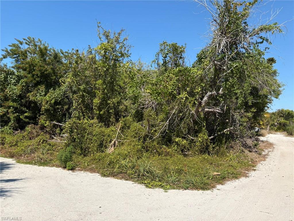 Residential Lot