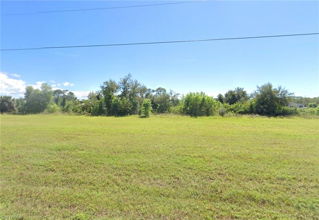View of grassy yard