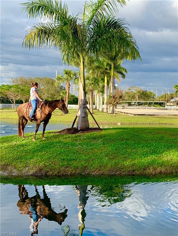 Lush, tropical setting for equestrians and horses