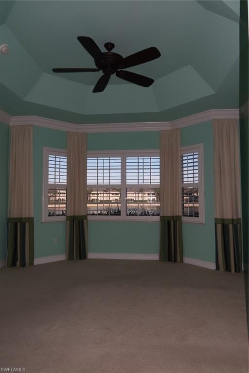 Tray ceiling with a dark-tone ceiling fan, bay window with plantation shutters, and carpeting