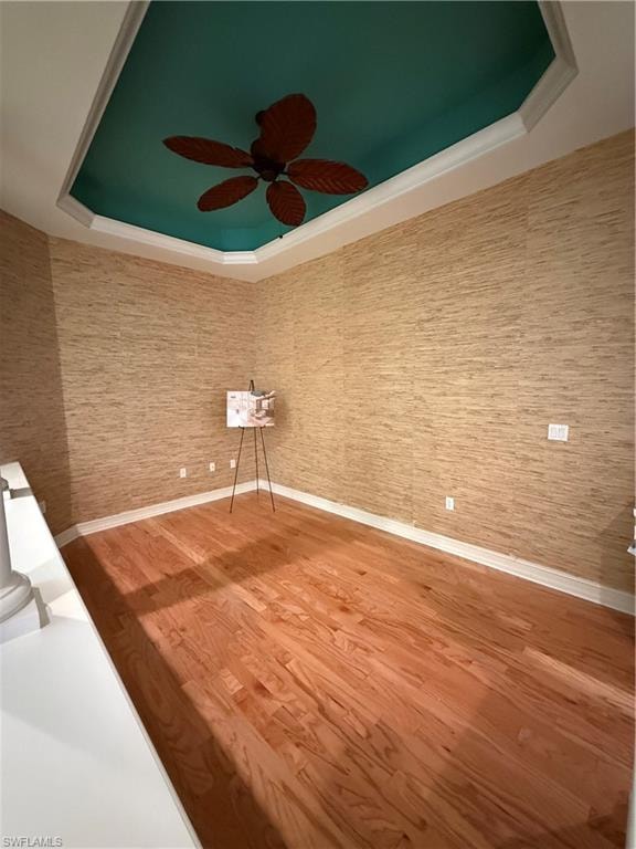 Unfurnished room with a raised ceiling, wood finished floors, and a ceiling fan