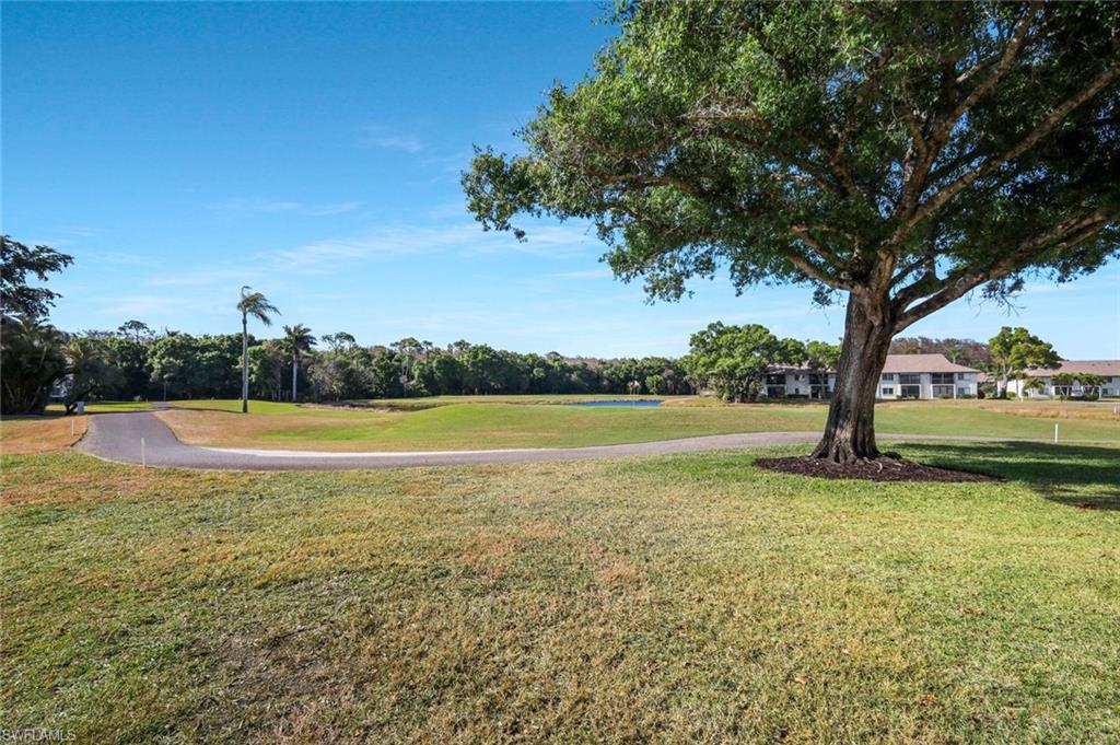 13240 White Marsh LN 3133 photo 18
